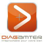 Franchise Diagamter